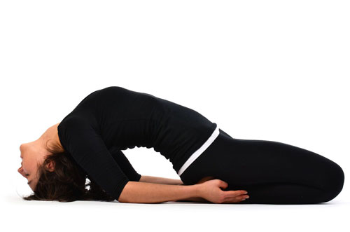 Reclining Poses (مجموعه حرکات معکوس)
