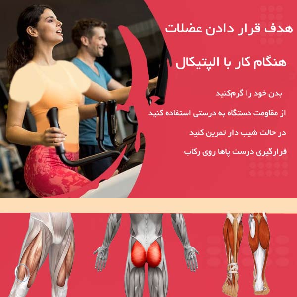 تقویت ماهیچه ها با اسکی فضایی