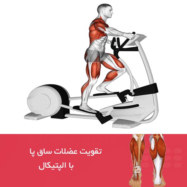 تقویت عضلات ساق پا با الپتیکال