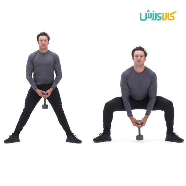 سومو اسکات با دمبل