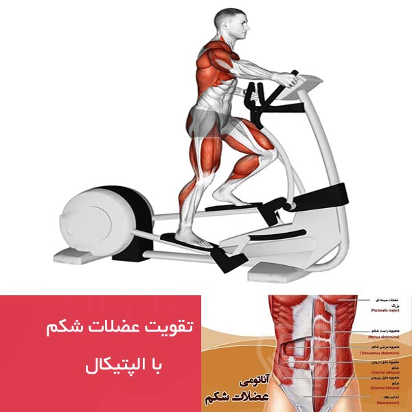 تقویت عضلات شکم با الپتیکال