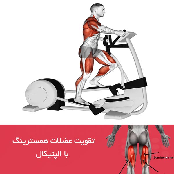 تقویت عضلات همسترینگ با الپتیکال