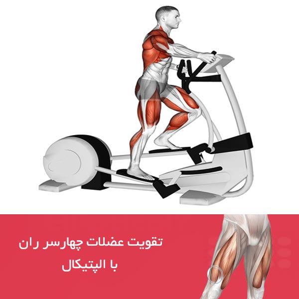 تقویت چهار سر ران با الپتیکال