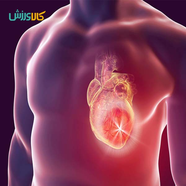 کارکرد سلامت دستگاه قلب و عروق