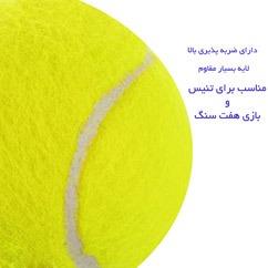 توپ تنیس SWDON 919 SWDON 919 Tennis Ball 1 Packs thumb 11279