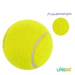 توپ تنیس SWDON 919 SWDON 919 Tennis Ball 1 Packs thumb 11278