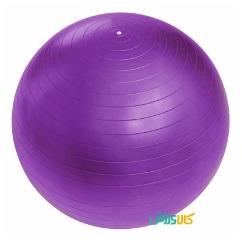 توپ جیم بال 55 سانتی متریGym Ball 55CM thumb 11573