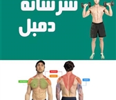 تقویت بالاتنه با پرس سرشانه با دمبل